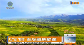 以产业“四地”建设为高质量发展蓄势储能