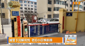 城管下沉解民忧 老旧小区焕新颜