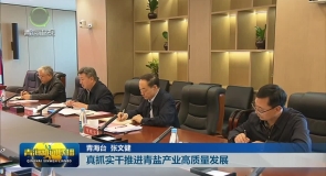 真抓实干推进青盐产业高质量发展