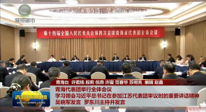 青海代表团举行全体会议 学习领会习近平总书记在参加江苏代表团审议时的重要讲话精神 吴晓军发言 罗东川主持并发言