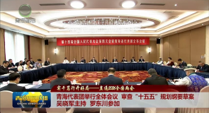 青海代表团举行全体会议 审查“十五五”规划纲要草案吴晓军主持 罗东川参加