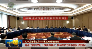 【实干笃行开好局——直通2026全国两会】青海代表团举行开放团组会议 吴晓军罗东川回答记者提问