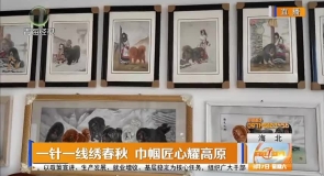 一针一线绣春秋 巾帼匠心耀高原