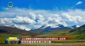 《生命树》热播背后 青海交出高质量“生态答卷”