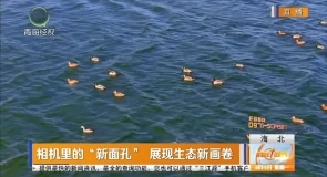 相机里的“新面孔”展现生态新画卷