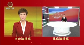 十四届全国人大四次会议举行第二次全体会议