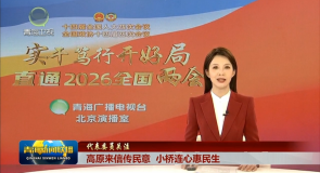 【代表委员关注】高原来信传民意 小桥连心惠民生
