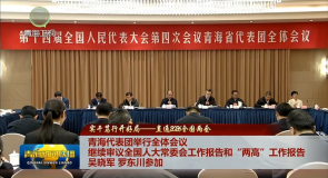 【实干笃行开好局——直通2026全国两会】青海代表团举行全体会议 继续审议全国人大常委会工作报告和“两高”工作报告 吴晓军 罗东川参加