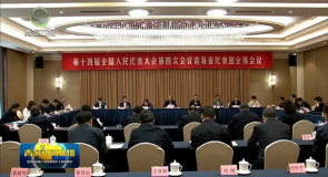青海代表团审议各项决议草案 决定草案 吴晓军 罗东川参加