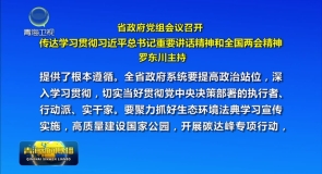 省政府党组会议召开 传达学习贯彻习近平总书记重要讲话精神和全国两会精神 罗东川主持
