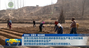 罗东川在海东市乐都区调研春季农业生产等工作时强调 高质量推进春季农业生产 更好推动农业增效益农村增活力农民增收入