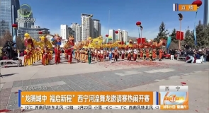 “龙腾城中 福启新程”西宁河湟舞龙邀请赛热闹开赛