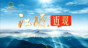 【江源近观】生命树 春风里的生命树