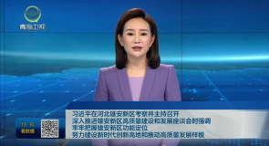 习近平在河北雄安新区考察并主持召开 深入推进雄安新区高质量建设和发展座谈会时强调 牢牢把握雄安新区功能定位 努力建设新时代创新高地和推动高质量发展样板