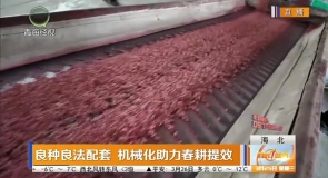 良种良法配套 机械化助力春耕提效