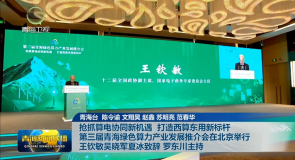 抢抓算电协同新机遇 打造西算东用新标杆 第三届青海绿色算力产业发展推介会在北京举行 王钦敏吴晓军夏冰致辞 罗东川主持