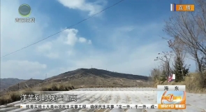 多措并举保春耕 特色产业绘新篇