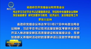 省政府召开党组会议和常务会议