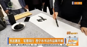 书法惠民·笔墨同行 西宁市书法作品展开展