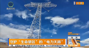 守护“生命禁区”的“电力天路”
