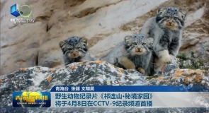 野生动物纪录片《祁连山·秘境家园》将于4月8日在CCTV-9纪录频道首播