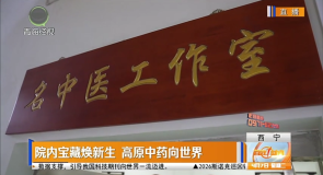 院内宝藏焕新生 高原中药向世界