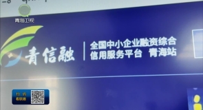 “青信融”平台：科技赋能惠企 政策直达快享