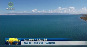【大美短视频·这就是青海】青海湖：春开大湖 澄澈如镜