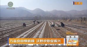 万亩良田焕新颜 沃野欢歌促振兴