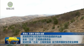 吴晓军罗东川在海东市民和县调研并出席全省“三北”工程建设推进会 坚决打赢“三北”工程攻坚战 全力筑牢国家生态安全屏障