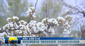 海东市乐都区第九届“梨韵河湟花漫乐都”文化活动将于4月16日启幕