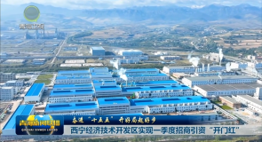 【奋进“十五五” 开好局起好步】西宁经济技术开发区实现一季度招商引资“开门红”