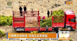 干群携手添新绿 共筑生态美家园