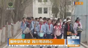 播种绿色希望 践行劳动初心