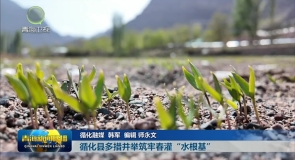 循化县多措并举筑牢春灌“水根基”