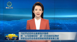 习近平近日作出重要指示强调 把“义乌发展经验”进一步总结好运用好 探索走出符合各自实际的高质量发展之路