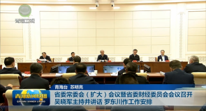 省委常委会（扩大）会议暨省委财经委员会会议召开 吴晓军主持并讲话 罗东川作工作安排