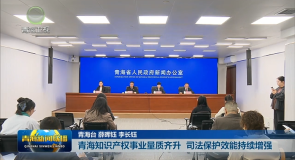 青海知识产权事业量质齐升 司法保护效能持续增强
