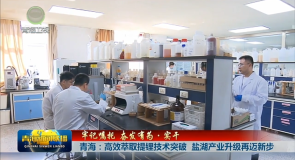 【牢记嘱托 奋发有为·实干】青海：高效萃取提锂技术突破 盐湖产业升级再迈新步