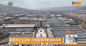 高原沃土生良种 打造国家级繁育新高地