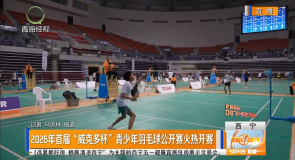 2026年首届“威克多杯”青少年羽毛球公开赛火热开赛