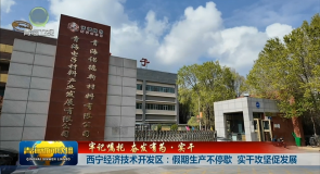【牢记嘱托 奋发有为·实干】西宁经济技术开发区：假期生产不停歇 实干攻坚促发展