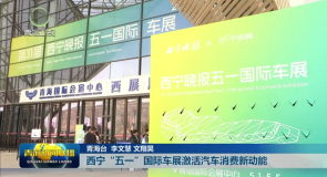 西宁“五一”国际车展激活汽车消费新动能