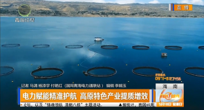 电力赋能精准护航 高原特色产业提质增效