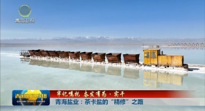 【牢记嘱托 奋发有为·实干】青海盐业:茶卡盐的“精修”之路