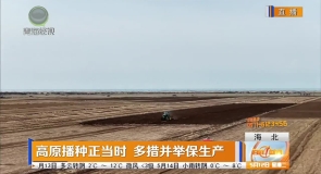 高原播种正当时 多措并举保生产