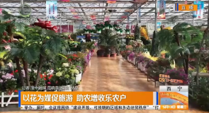 以花为媒促旅游 助农增收乐农户