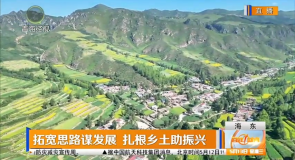 拓宽思路谋发展 扎根乡土助振兴
