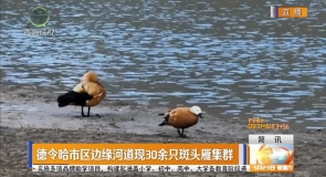 简讯 20260523