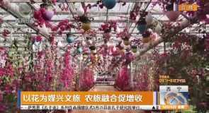 以花为媒兴文旅 农旅融合促增收